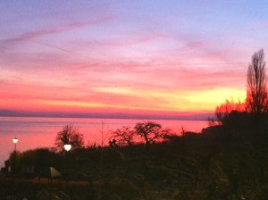 Impossible de ne pas vous mettre deux photos des paysages du Bel-Air!